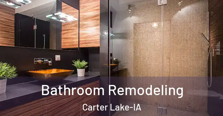 inner Bathroom imggen Bathroom Remodeling Carter Lake-IA
