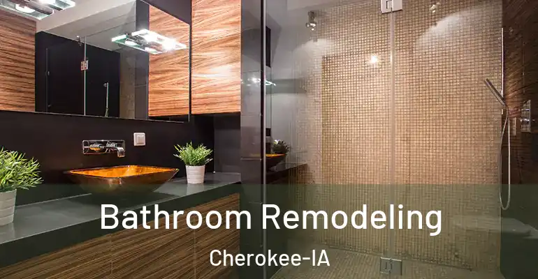 inner Bathroom imggen Bathroom Remodeling Cherokee-IA