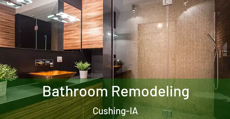 inner Bathroom imggen Bathroom Remodeling Cushing-IA