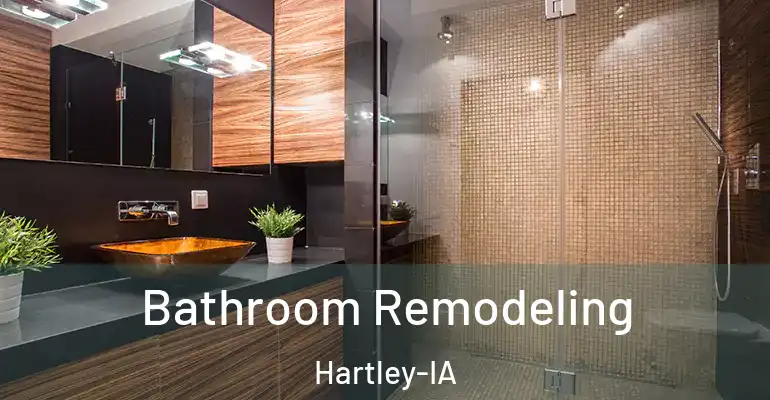 inner Bathroom imggen Bathroom Remodeling Hartley-IA