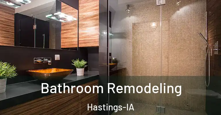inner Bathroom imggen Bathroom Remodeling Hastings-IA