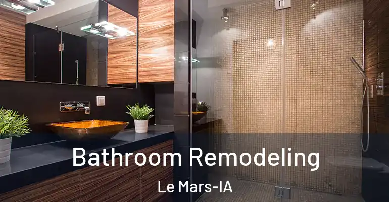 inner Bathroom imggen Bathroom Remodeling Le Mars-IA