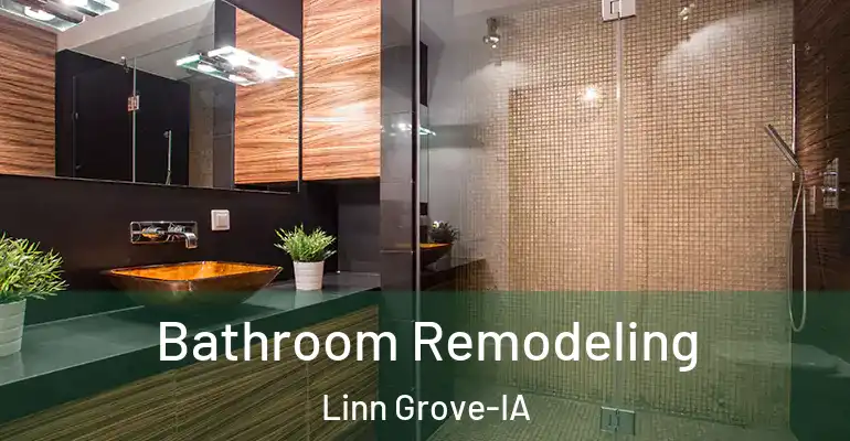 inner Bathroom imggen Bathroom Remodeling Linn Grove-IA