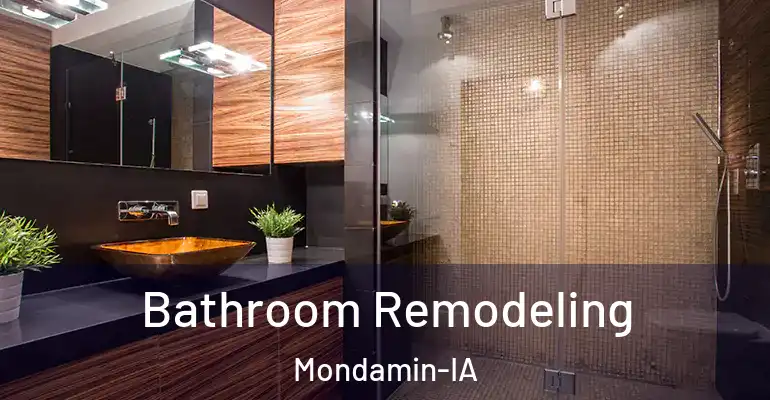 inner Bathroom imggen Bathroom Remodeling Mondamin-IA