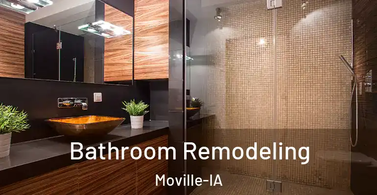 inner Bathroom imggen Bathroom Remodeling Moville-IA