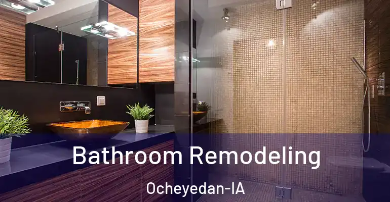 inner Bathroom imggen Bathroom Remodeling Ocheyedan-IA