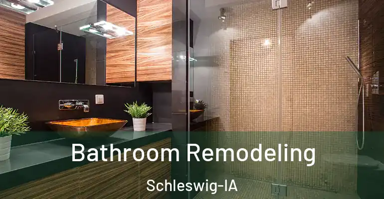 inner Bathroom imggen Bathroom Remodeling Schleswig-IA