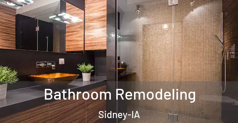 inner Bathroom imggen Bathroom Remodeling Sidney-IA