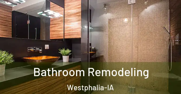 inner Bathroom imggen Bathroom Remodeling Westphalia-IA