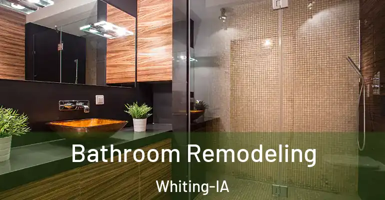 inner Bathroom imggen Bathroom Remodeling Whiting-IA