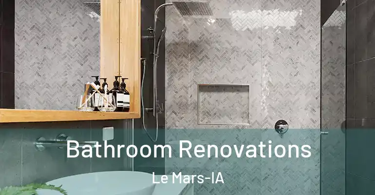 inner Bathroom imggen Bathroom Renovations Le Mars-IA