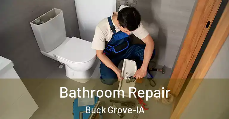 inner Bathroom imggen Bathroom Repair Buck Grove-IA