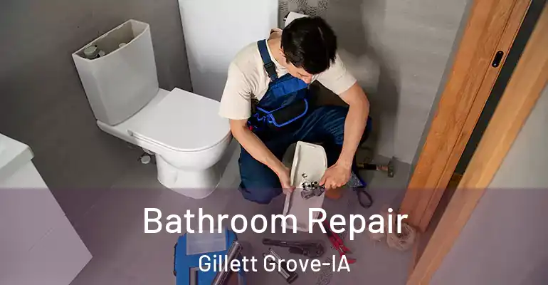 inner Bathroom imggen Bathroom Repair Gillett Grove-IA