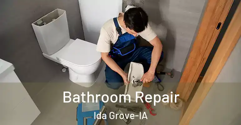 inner Bathroom imggen Bathroom Repair Ida Grove-IA