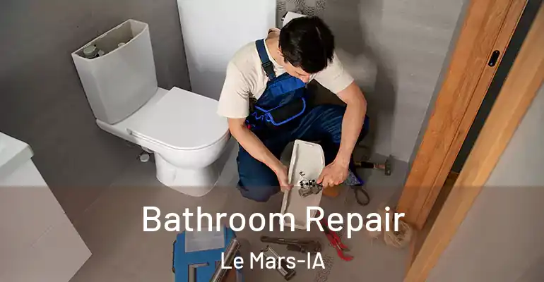inner Bathroom imggen Bathroom Repair Le Mars-IA