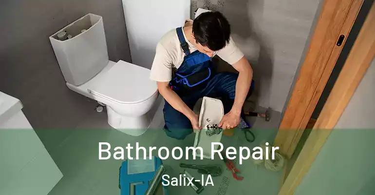 inner Bathroom imggen Bathroom Repair Salix-IA