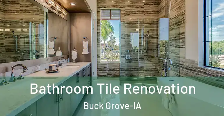 inner Bathroom imggen Bathroom Tile Renovation Buck Grove-IA