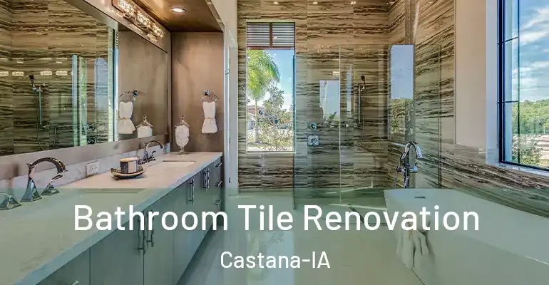inner Bathroom imggen Bathroom Tile Renovation Castana-IA