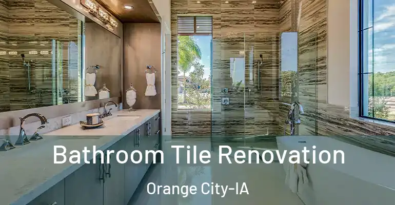 inner Bathroom imggen Bathroom Tile Renovation Orange City-IA