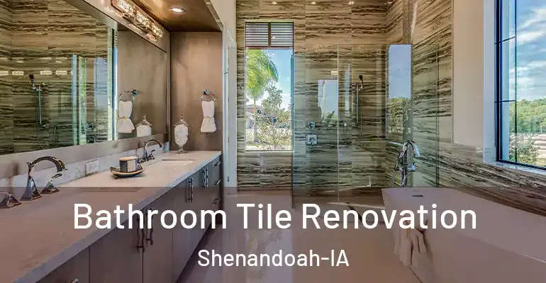 inner Bathroom imggen Bathroom Tile Renovation Shenandoah-IA
