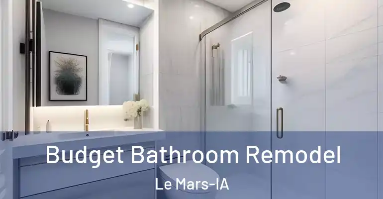 inner Bathroom imggen Budget Bathroom Remodel Le Mars-IA