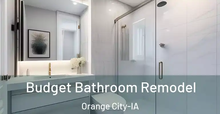 inner Bathroom imggen Budget Bathroom Remodel Orange City-IA