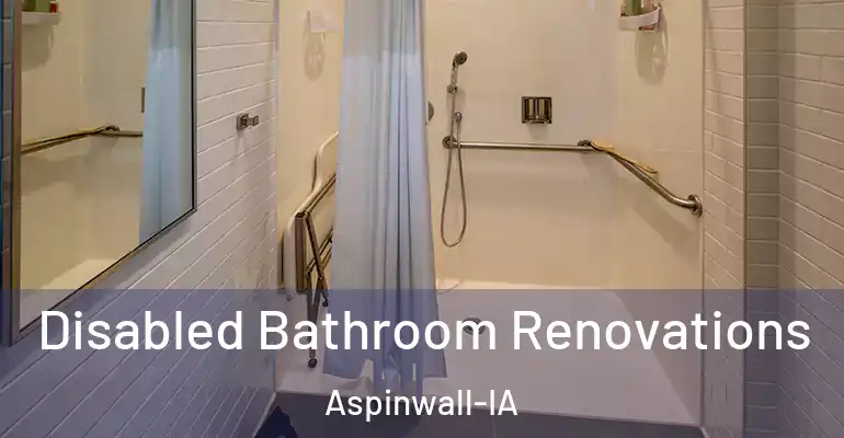 inner Bathroom imggen Disabled Bathroom Renovations Aspinwall-IA
