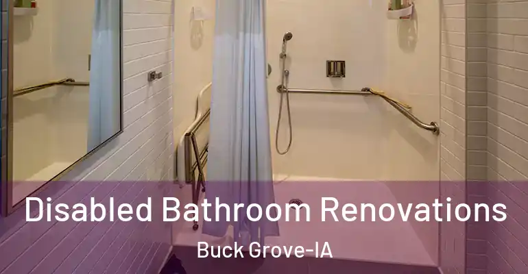 inner Bathroom imggen Disabled Bathroom Renovations Buck Grove-IA