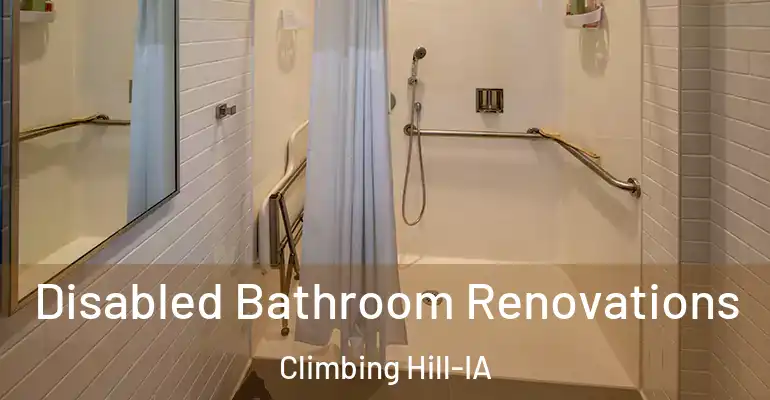 inner Bathroom imggen Disabled Bathroom Renovations Climbing Hill-IA