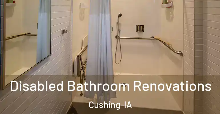 inner Bathroom imggen Disabled Bathroom Renovations Cushing-IA