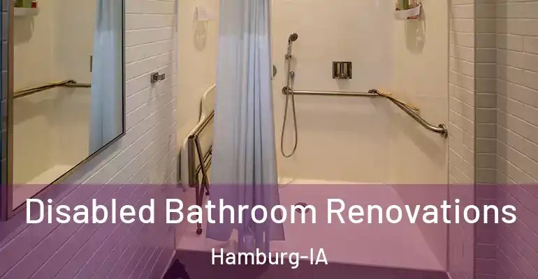 inner Bathroom imggen Disabled Bathroom Renovations Hamburg-IA
