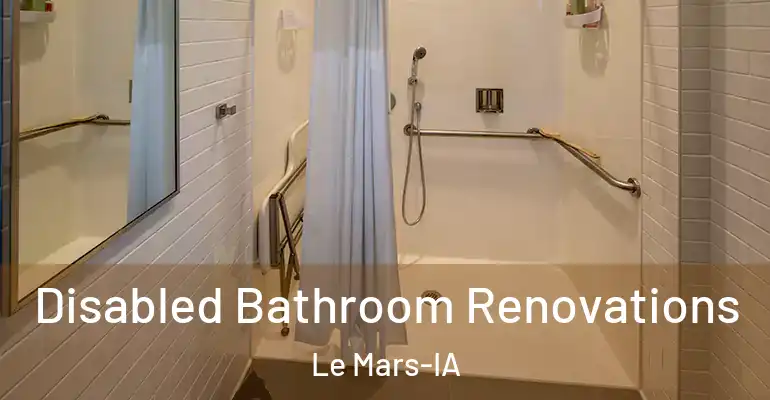 inner Bathroom imggen Disabled Bathroom Renovations Le Mars-IA