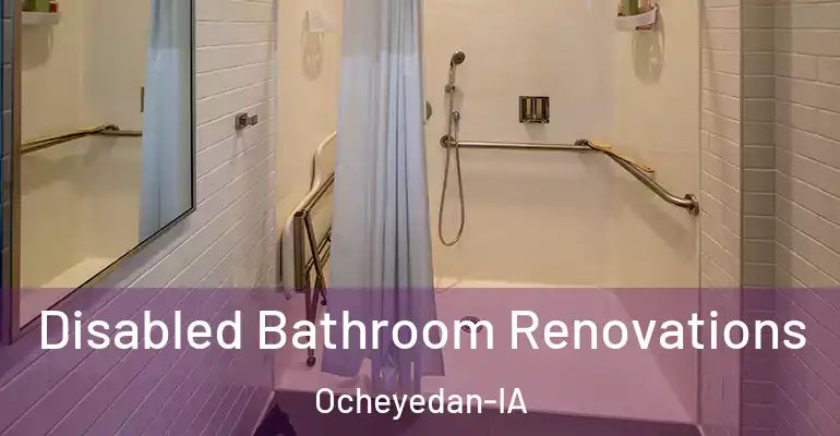 inner Bathroom imggen Disabled Bathroom Renovations Ocheyedan-IA