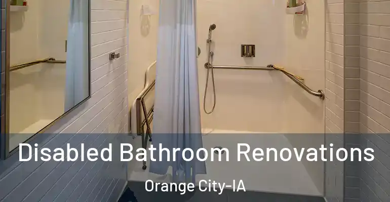 inner Bathroom imggen Disabled Bathroom Renovations Orange City-IA