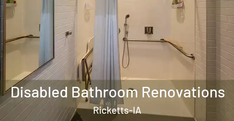 inner Bathroom imggen Disabled Bathroom Renovations Ricketts-IA