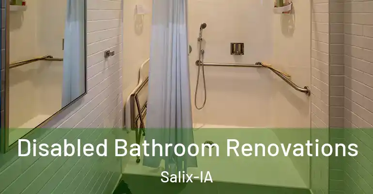 inner Bathroom imggen Disabled Bathroom Renovations Salix-IA