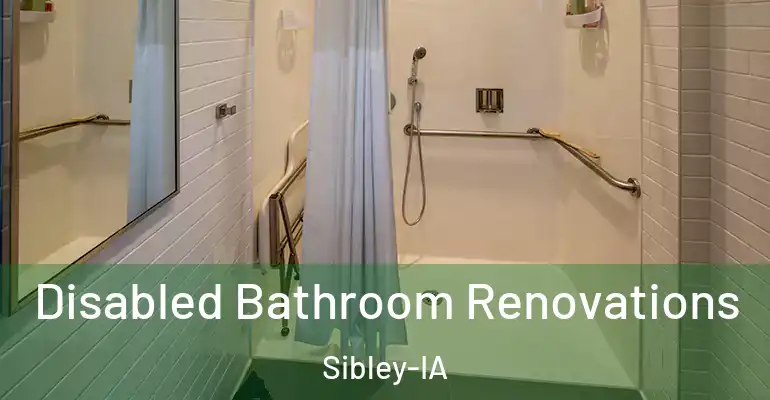 inner Bathroom imggen Disabled Bathroom Renovations Sibley-IA