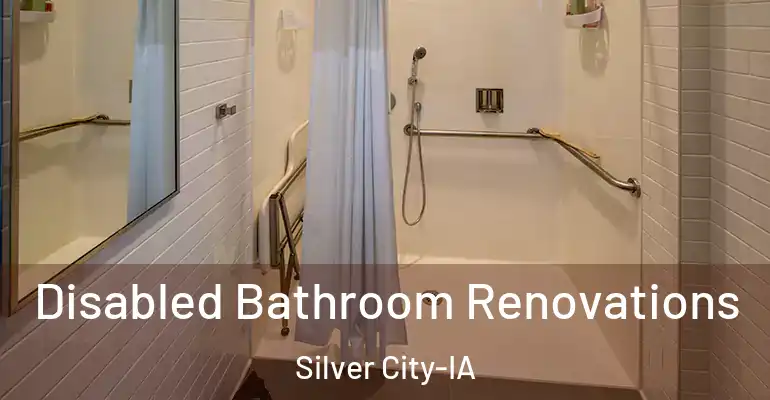inner Bathroom imggen Disabled Bathroom Renovations Silver City-IA