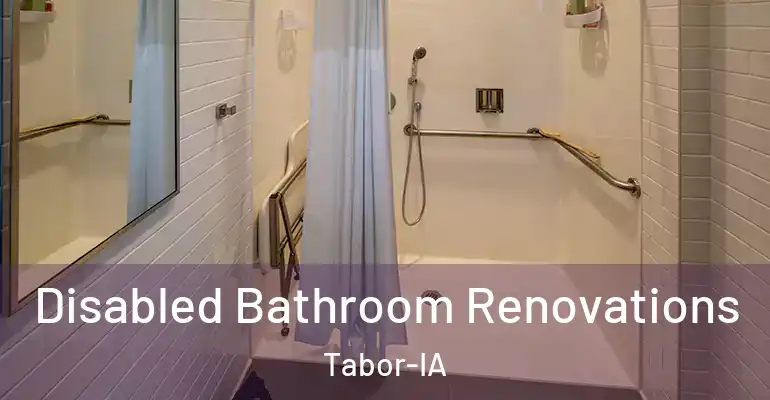 inner Bathroom imggen Disabled Bathroom Renovations Tabor-IA