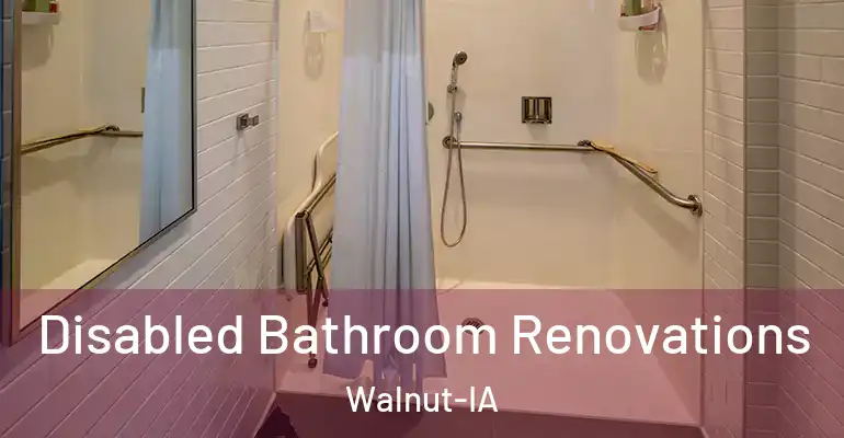 inner Bathroom imggen Disabled Bathroom Renovations Walnut-IA