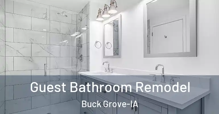 inner Bathroom imggen Guest Bathroom Remodel Buck Grove-IA