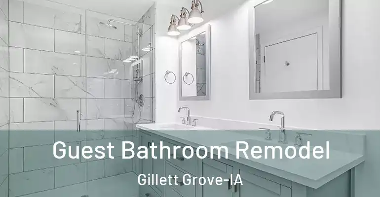 inner Bathroom imggen Guest Bathroom Remodel Gillett Grove-IA