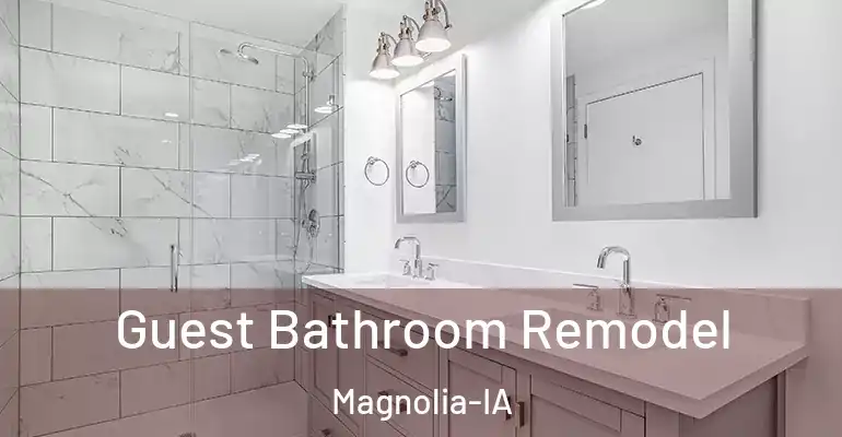 inner Bathroom imggen Guest Bathroom Remodel Magnolia-IA