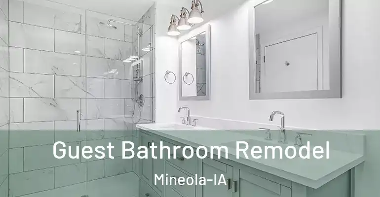 inner Bathroom imggen Guest Bathroom Remodel Mineola-IA