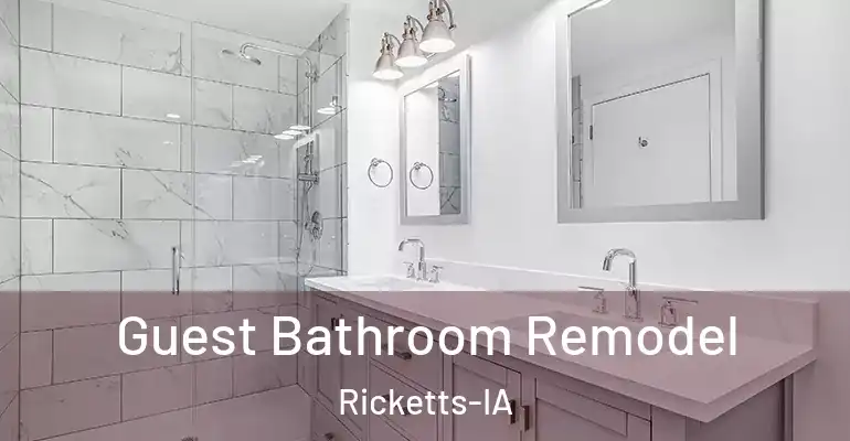 inner Bathroom imggen Guest Bathroom Remodel Ricketts-IA