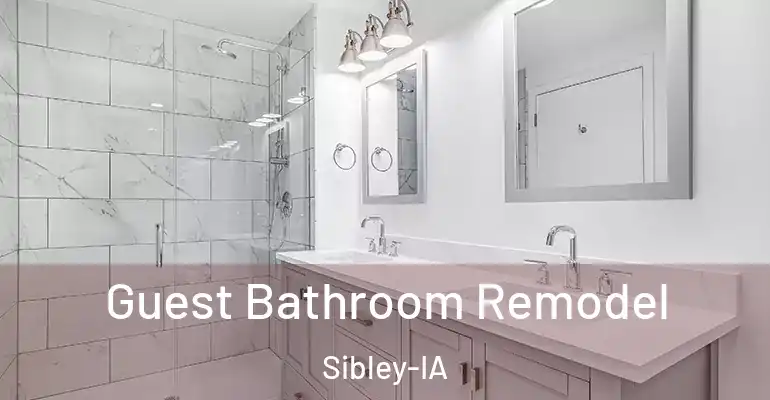 inner Bathroom imggen Guest Bathroom Remodel Sibley-IA