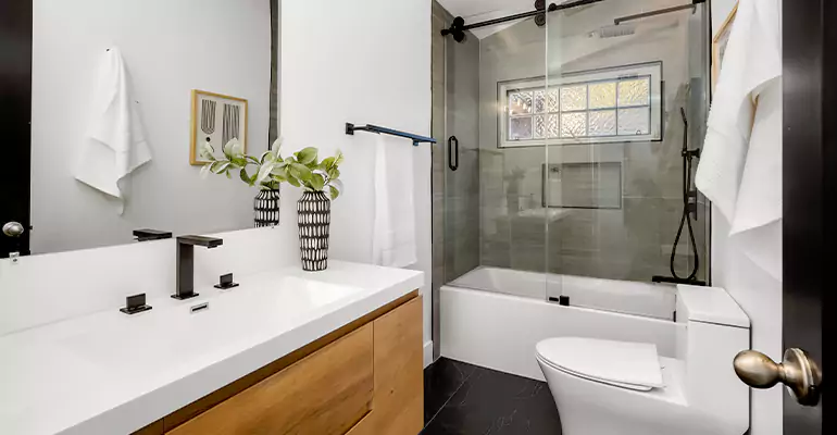 Tub to Shower Renovation in Lake View