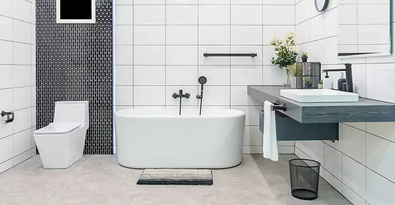 Bathroom Leak Repair in Lake View