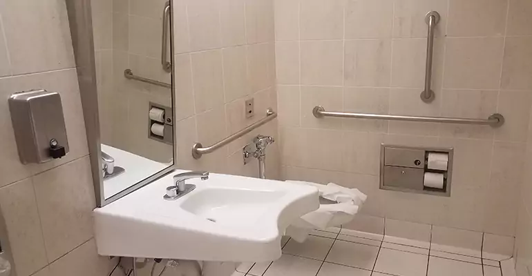 Bathroom Renovation for Disabled Person in Lake View