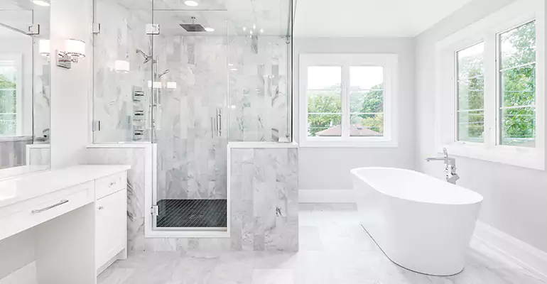 Full Shower Remodel in Lake View